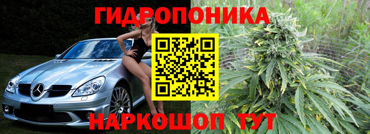 Канабис сатива  Конопля индика  Конопля конопля  Шахты  Вход с VPN 